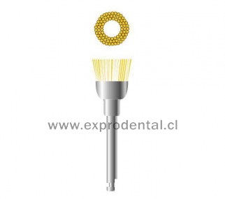 Escobilla Copa Mini Ca Blanda Cerdas Nat