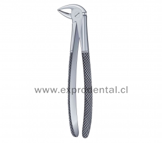 Forcep Curv Bord P.Loro Gru 33B